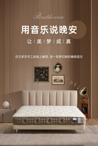 卡路福贝多芬肖邦威尔逊菲利普海恩斯威廉杜兰特洛克菲勒床垫代购
