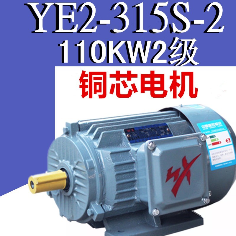 110KW4级电机YE3-315S-4极三相异步电动机二级千瓦纯铜线马达E2X3