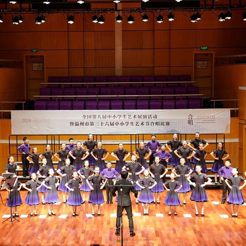 六一儿童合唱服演出服男女童礼服中小学生合唱团演出服表演朗诵服图片