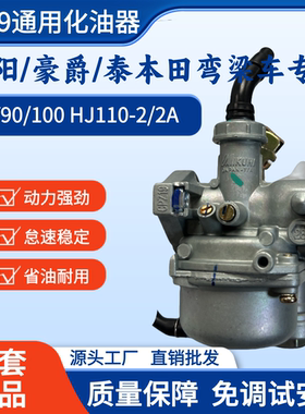 原装大阳DY100宗申ZS100隆鑫 泰本110田三轮弯梁摩托车PZ19化油器