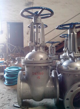 Z41H-16C/25C PN1.6/2.5电厂蒸汽导热油铸钢法兰闸阀DN250 10寸