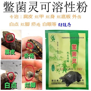 疥疮灵(鳖菌灵)乌龟药南石龟白化巴西鳄龟治腐皮外伤烂甲白点疥疮