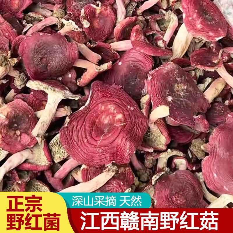 农家自采深山野生红菇