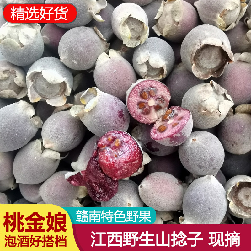 桃金娘野生鲜果山捻子现摘现发