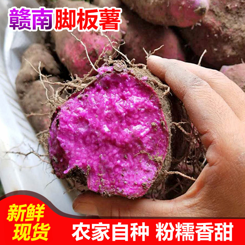 江西赣南农家紫山药脚板薯紫山药新鲜山药