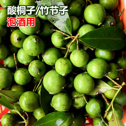 新鲜江西赣南野果酸桐子竹节子泡酒用酸筒子竹节果当季水果野枇杷