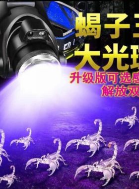 头戴式感应蝎子灯养蝎专用进口紫光灯照蝎变焦远射超亮紫光钓鱼灯