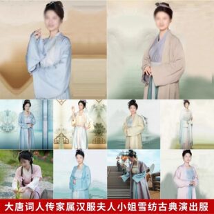 汉服千金小姐贵妃夫人雪纺古典服装唐宋演出服大唐秦观晏殊妻子