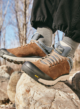 Danner丹纳 户外休闲男款2650GTX低帮防水徒步登山鞋防滑减震V底