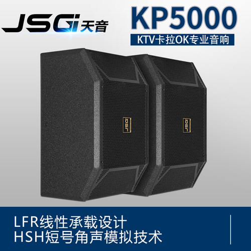 JSGI KP5000卡包音箱/KTV卡拉OK专业音响/会议舞台演出进口单元版