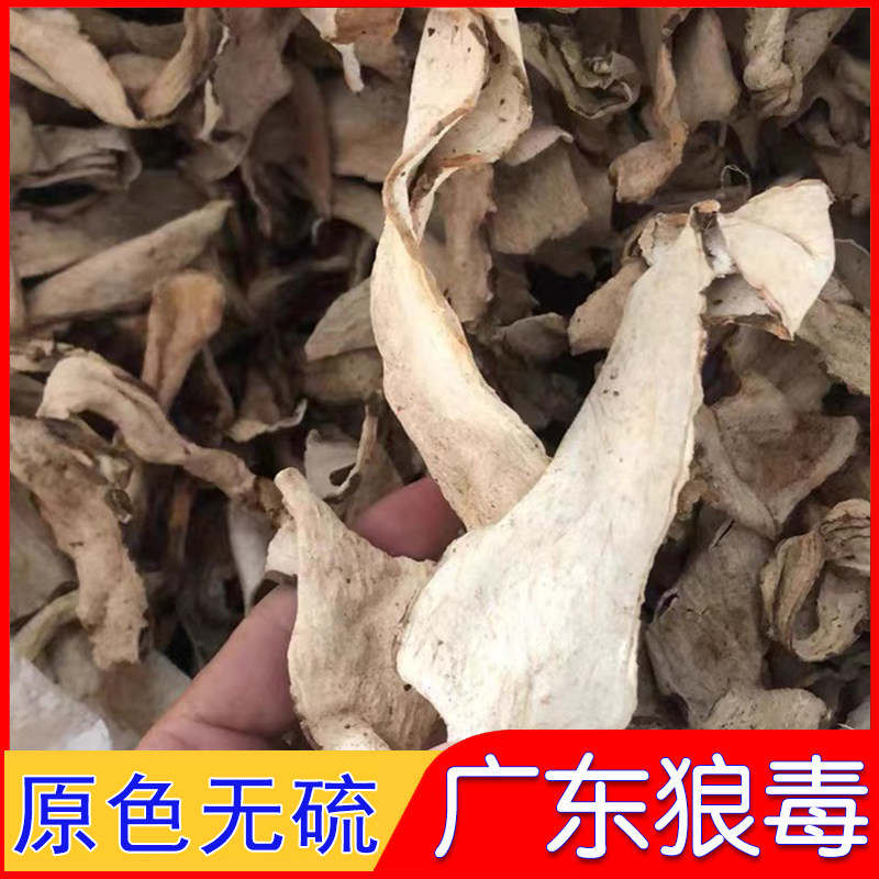 广东狼毒花中药材蛇六谷粉续毒猴子根绵大戟闷花头药罗卜红火柴头