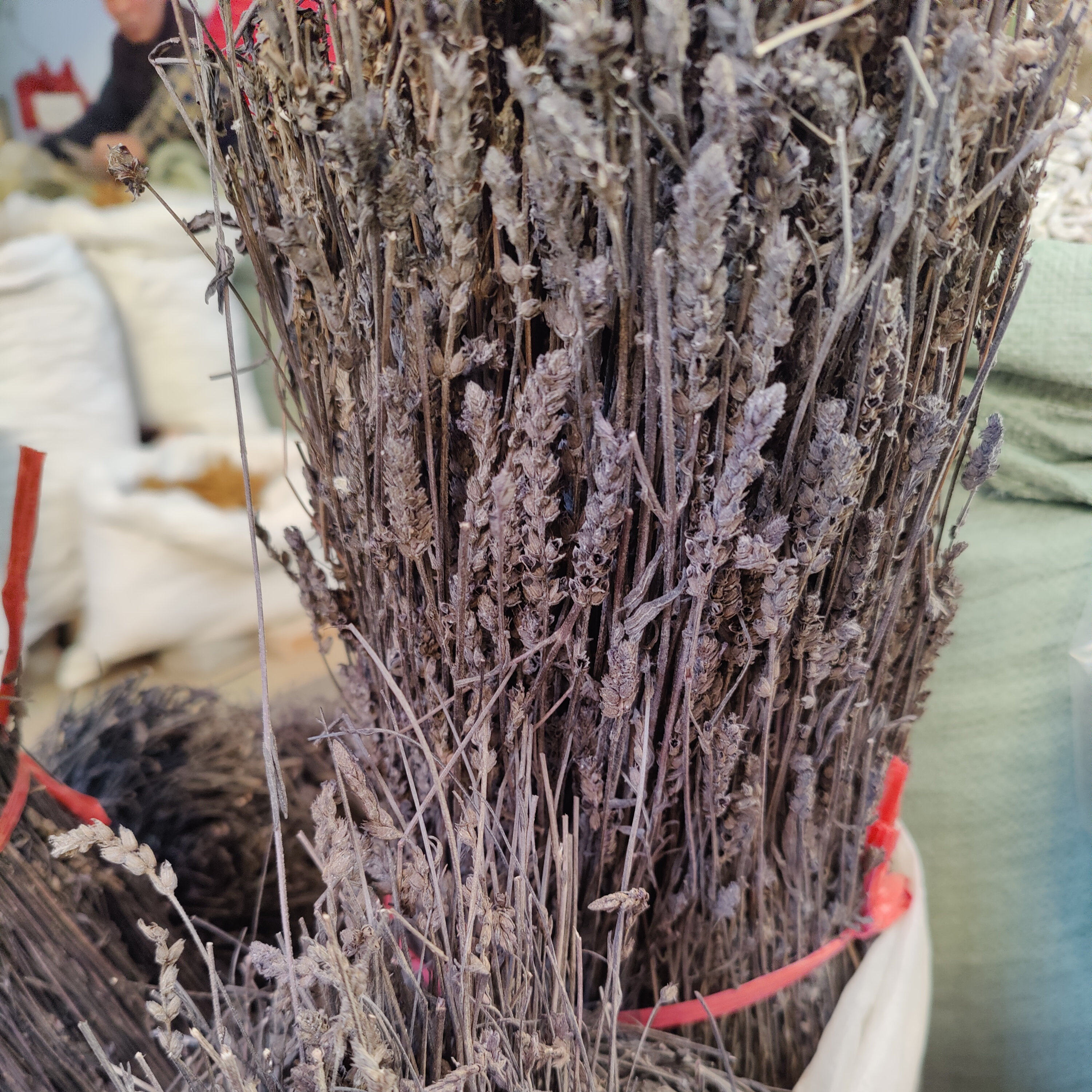 广西黑草整根野生中药材新品干货鬼羽箭草黑骨草克草无硫500g包邮