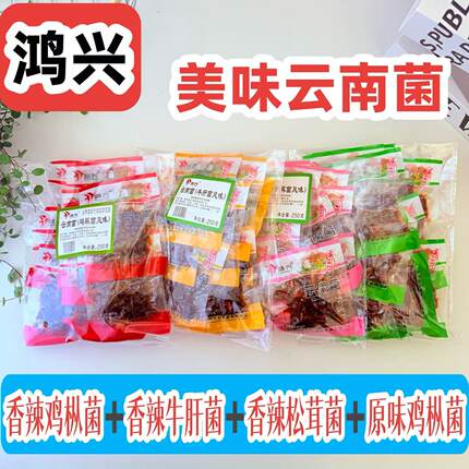 鸿兴美味山珍菌250g云南特产鸡枞菌牛肝菌松茸菌香菇云南菌子袋装