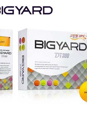 三层球高尔夫球BIGYARD四色练习