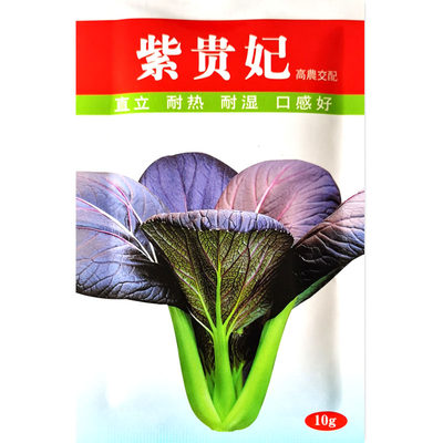 耐热耐湿夏季高产小油菜种子