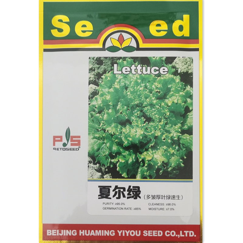北京华明亿友夏尔绿四季大速生菜种子散叶多皱厚叶耐热高产种籽