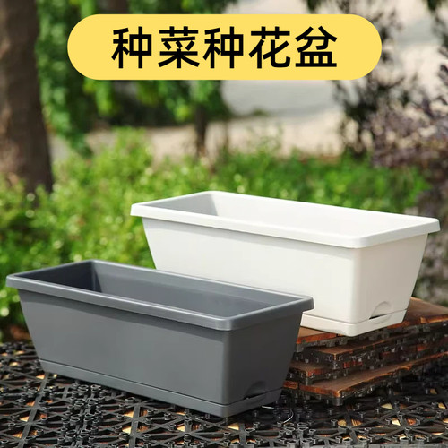 栽菜盆新款加厚霍伦盆家庭阳台种