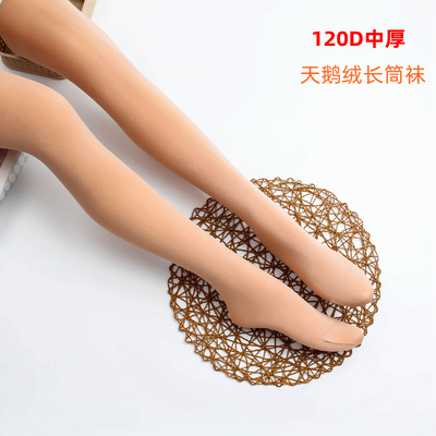 长统袜永春天鹅绒美腿保暖高筒袜