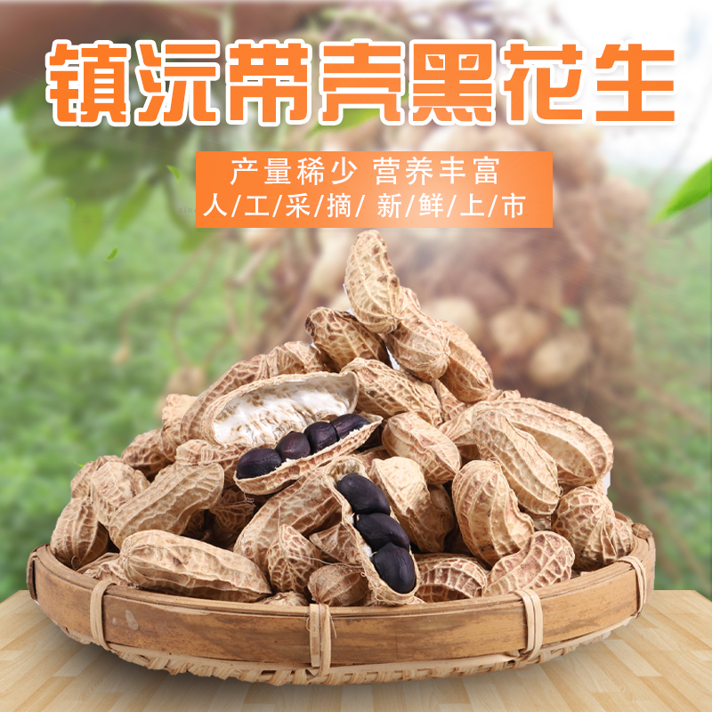 2025年云南黑花生新上市带壳甜糯镇沅特产生吃山地休闲小粒老品种
