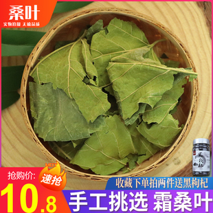 干桑叶500g克霜后新鲜晒干桑树叶泡水喝可搭青桑叶茶 散装