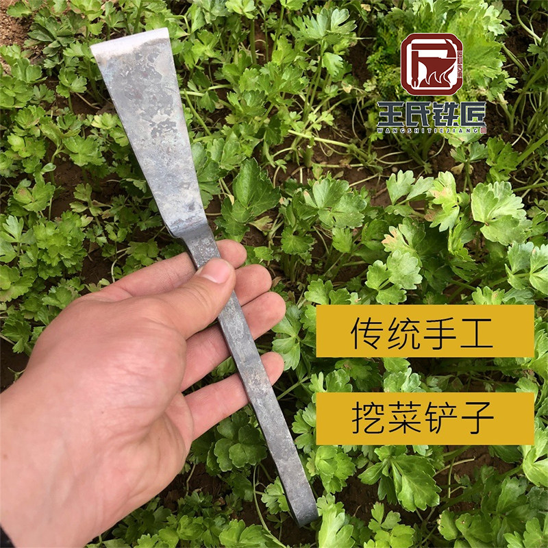 王氏作坊菜铲菜园花园种菜除草种花移苗挖野菜小铲子铁匠手工锻打