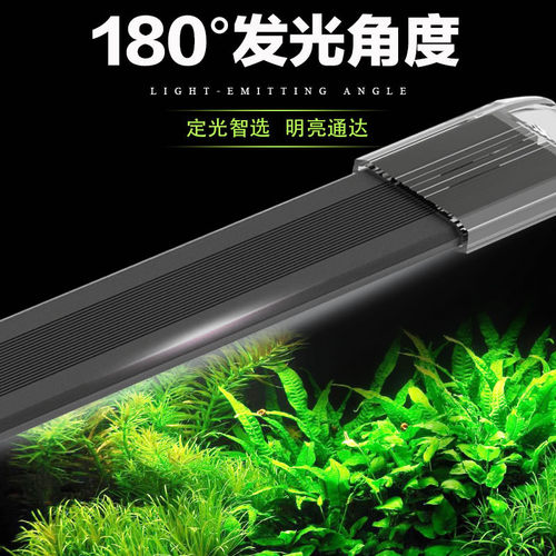 亚光照明销量排行榜 亚光照明品牌热度排名 小麦优选