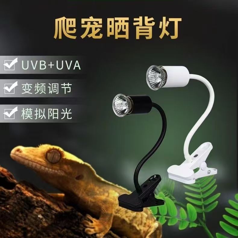 乌龟晒背灯uva加热灯泡