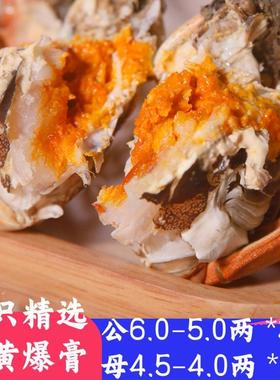 活蟹6只特大半斤以上公蟹大闸蟹螃蟹鲜活巨大公母对蟹阳澄好蟹