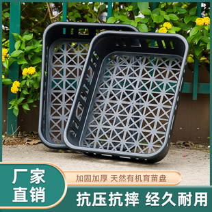 育苗盘托盘多肉育苗盒长方盘种植正方盘组培框兰花周转箱