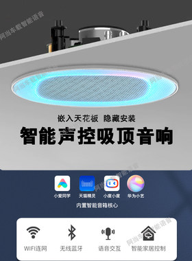 小艺小艺智能音响改装吸顶主机