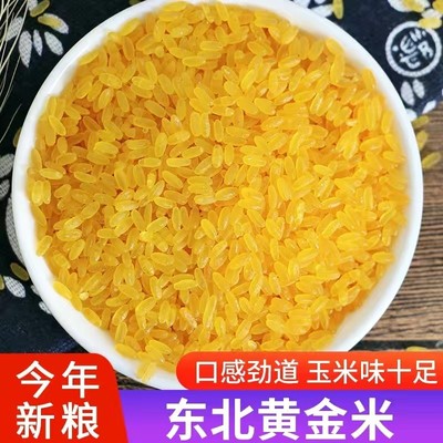 东北黄金大米特色食品粗粮