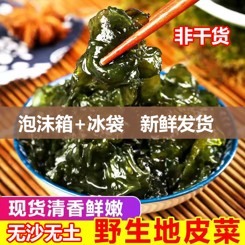 湖南新鲜免洗食用地皮菜非干地皮菇雷公菌应季野生地木耳地衣3斤