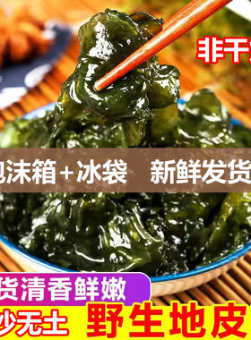 湖南新鲜免洗食用地皮菜非干