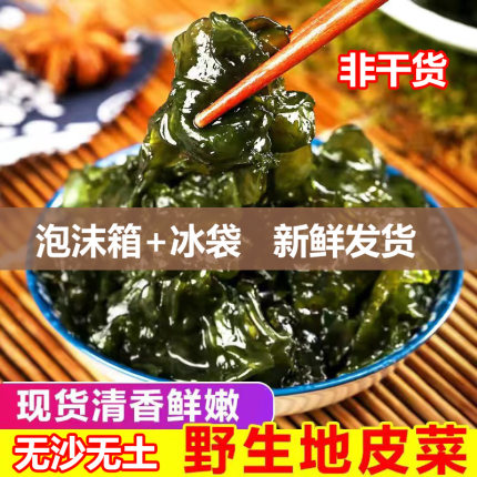 湖南新鲜免洗食用地皮菜非干地皮菇雷公菌应季野生地木耳地衣