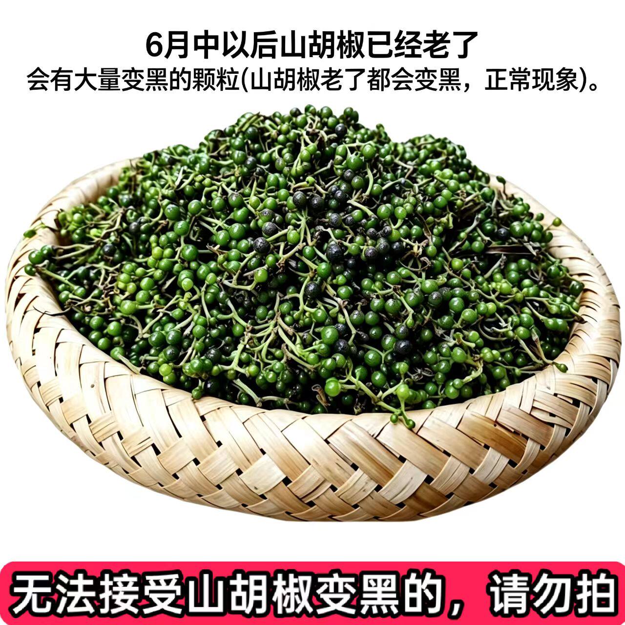 湖南2026新鲜摘山胡椒木姜子山苍子去腥提味配料农产品野生可食用