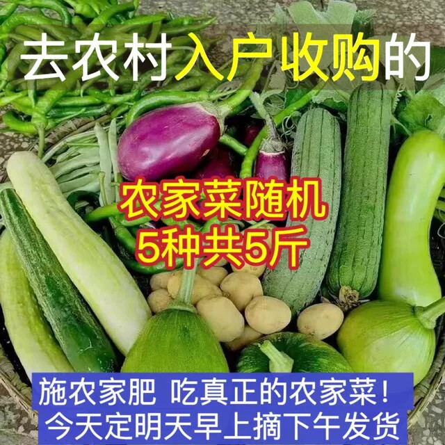 湖南当季新鲜现摘蔬菜随机混搭新鲜蔬菜农家自种辣椒黄瓜豆角组合