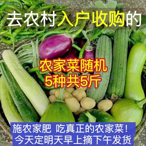 湖南当季新鲜现摘蔬菜随机混搭新鲜蔬菜农家自种辣椒黄瓜豆角组合