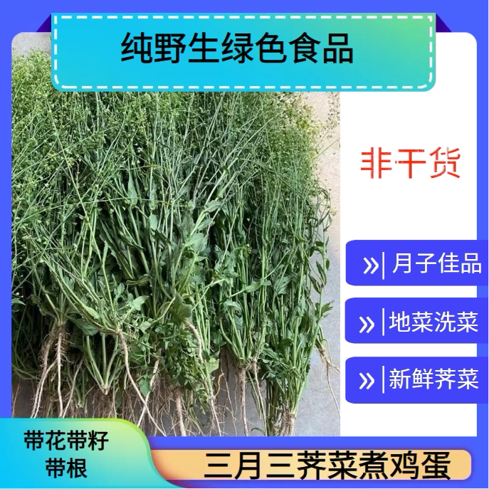【新鲜老荠菜】湖南三月三荠菜煮鸡蛋地菜子洗菜野菜整株带根带花