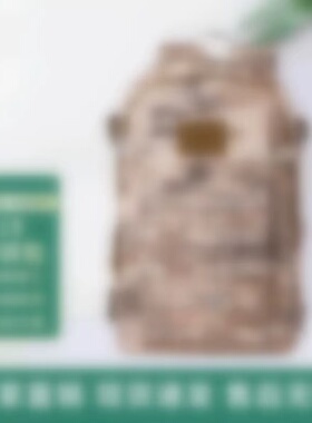 2019单人训作包迷彩背囊EXP2Z-1V款新款战术突击包大容量防水背包