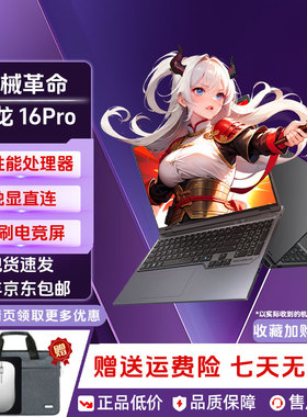 MECHREVO/机械革命 极光 极光X 蛟龙16pro RTX4060/RTX5060游戏本