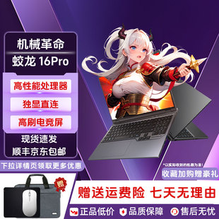 RTX5060 极光X RTX4060独显满血直连 机械革命蛟龙16Pro MECHREVO