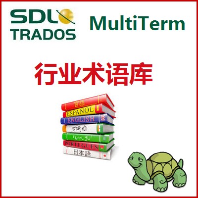 语译达翻译教程高级指导项目管理