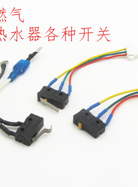燃气电热水器微动开关微控开关总成水动开关2线3线有片无压片配件