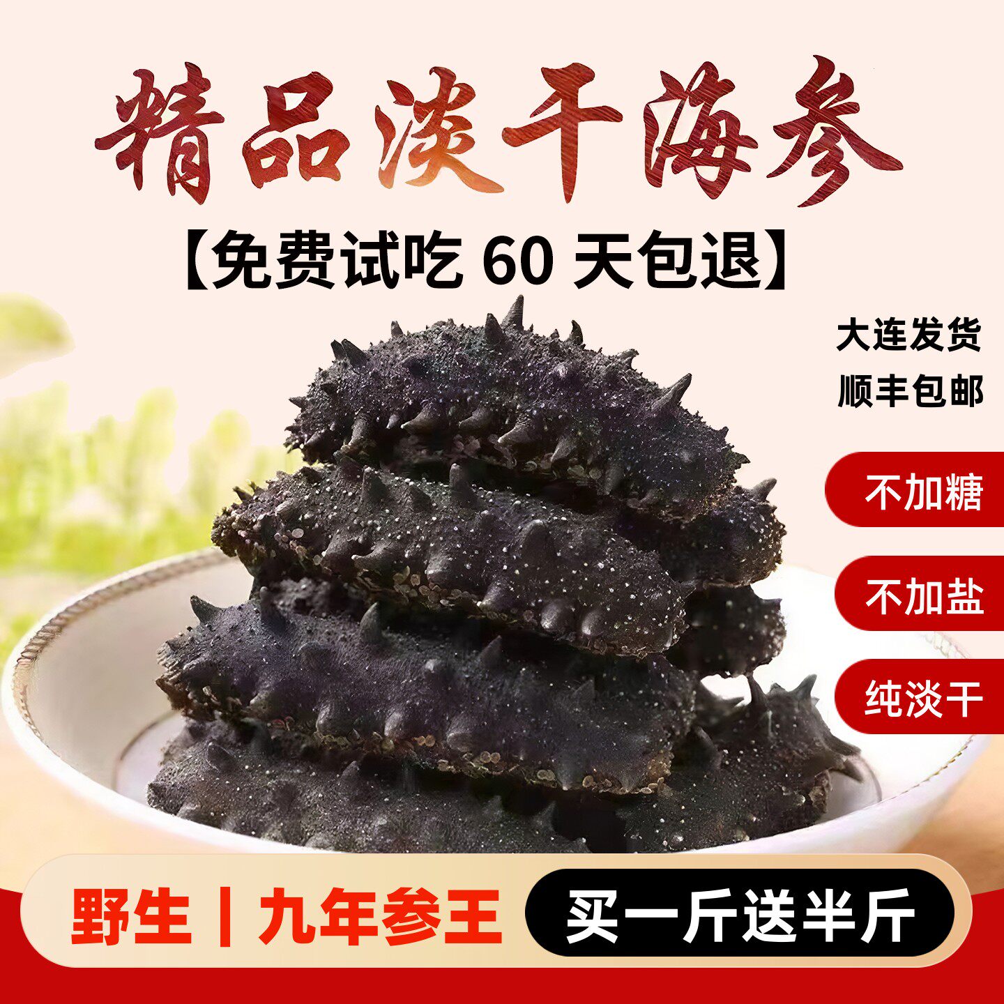 淡干海参干货500g特价大连野生辽参 中老年人滋补非即食刺参礼盒