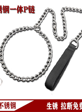 狗P字链不锈钢中大型犬拉布拉多金毛训犬一体防爆冲牵引绳子项圈