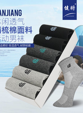 健将夏季薄款男袜棉袜