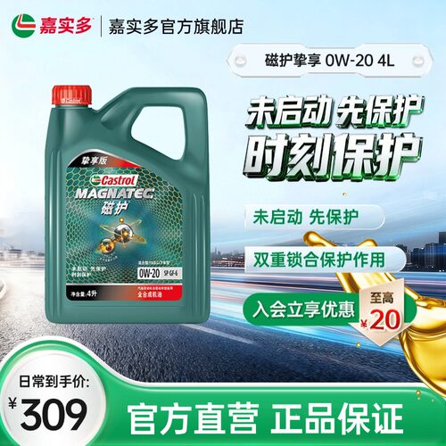 嘉实多磁护挚享SPGF-60W-204L
