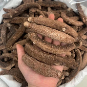 野生深海红参海参干货 美国阿拉斯加红参