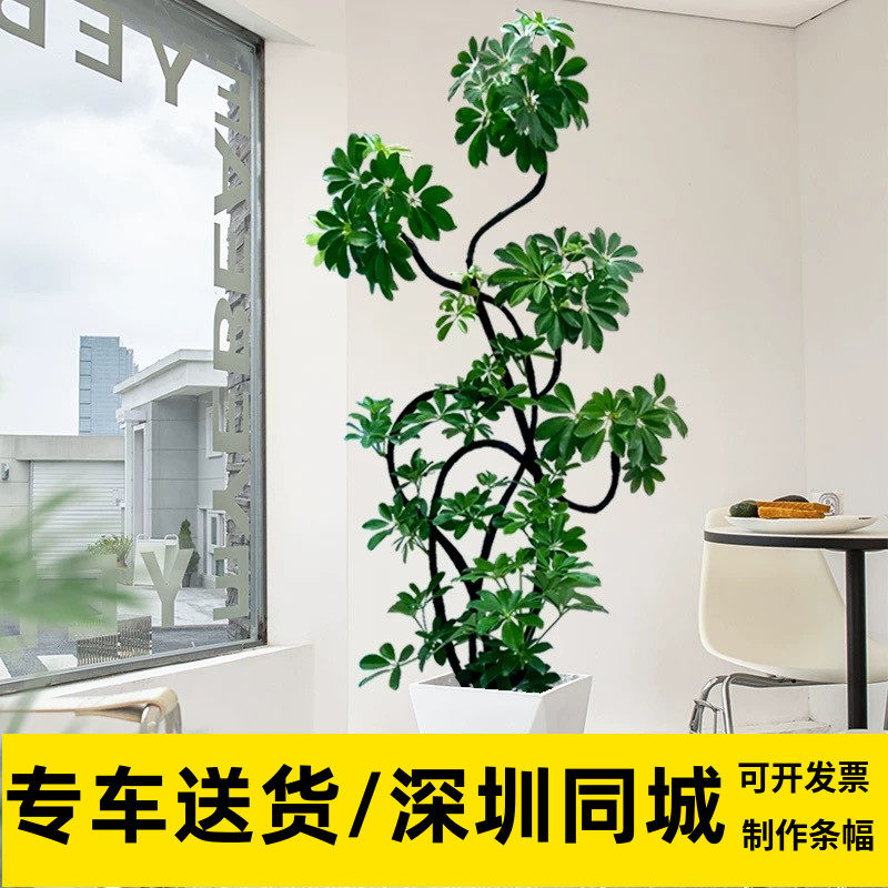 鸭掌木招财大盆栽八方来财土养造型绿植鸭掌木鹅掌柴喜阳落地式植