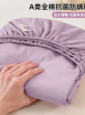 床笠罩单件100纯棉床罩防尘全棉床垫保护罩床单套三件套180x200冬
